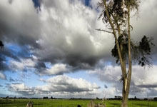 雷火电竞简介-棋盘两端，汉密尔顿与安切洛蒂的制胜方程式