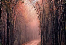 雷火电竞充值-日本爆冷利物浦，萨内绝境逆转的简单介绍