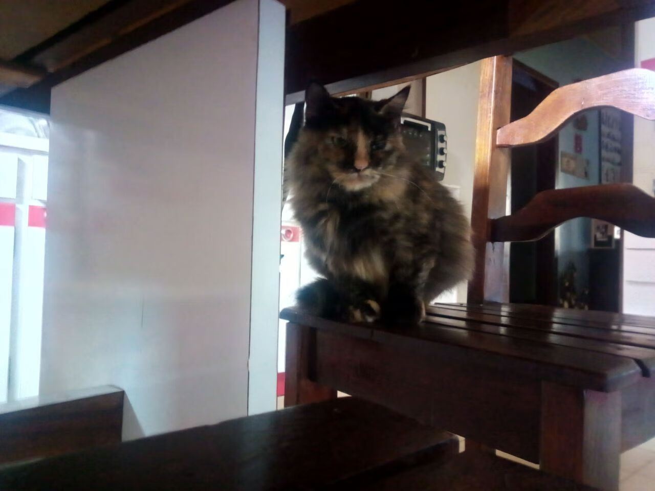 广厦队踏平开拓者！爱德华兹末节爆斩成关键先生