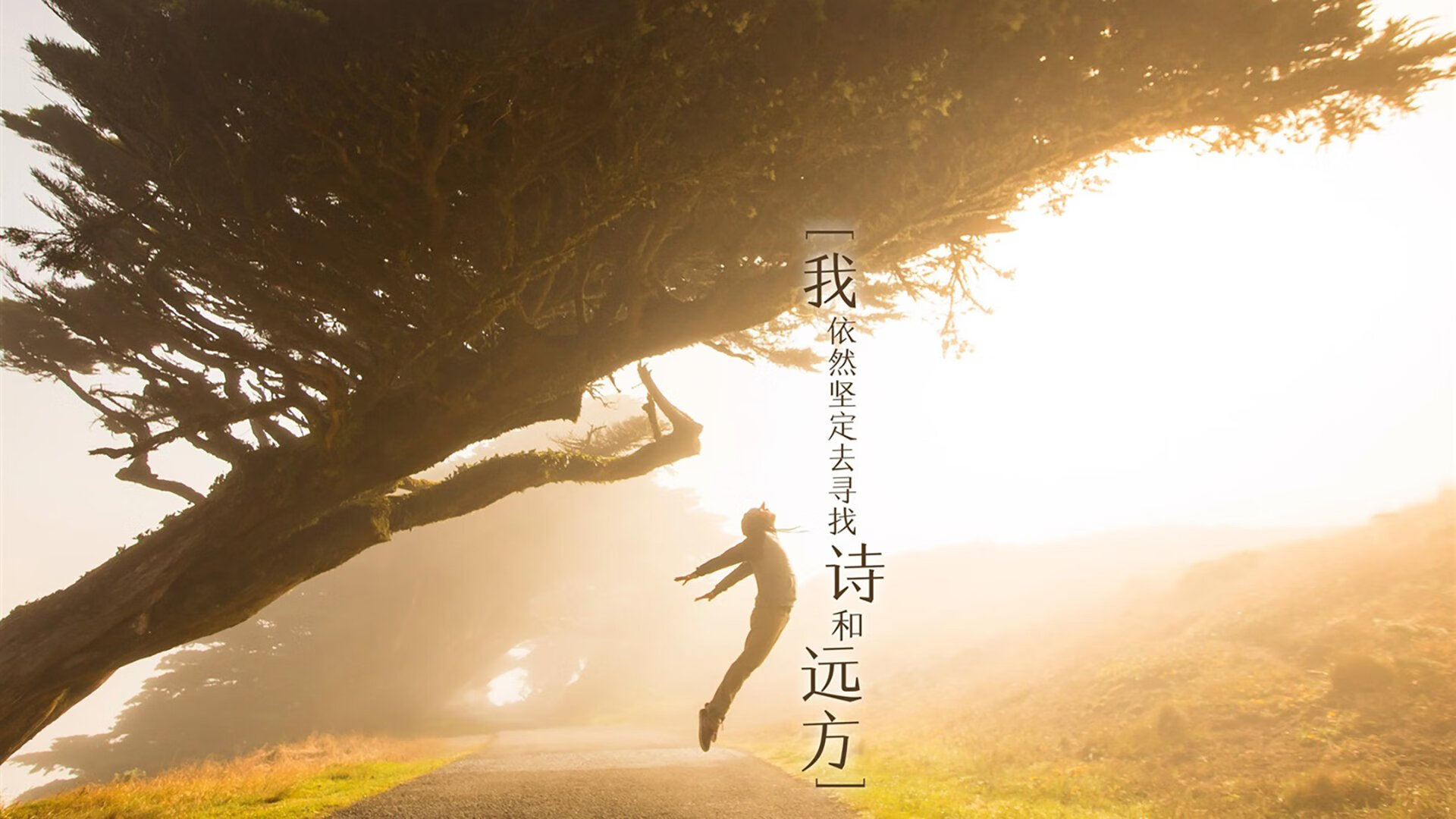 精密机器与黑马之魂的对决，楚阿梅尼一剑封喉，塞内加尔用天赋征服终场哨